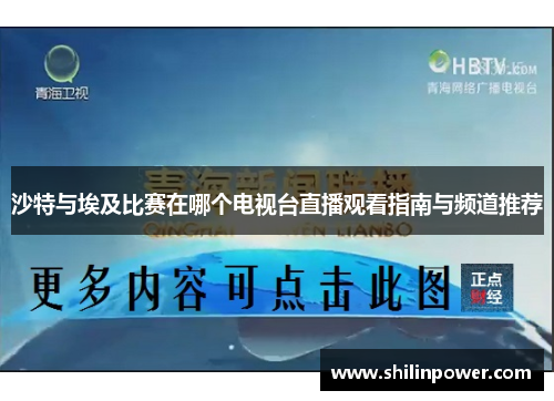 沙特与埃及比赛在哪个电视台直播观看指南与频道推荐